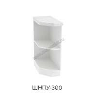 Шкаф нижний торцевой 300, ШНПУ 300